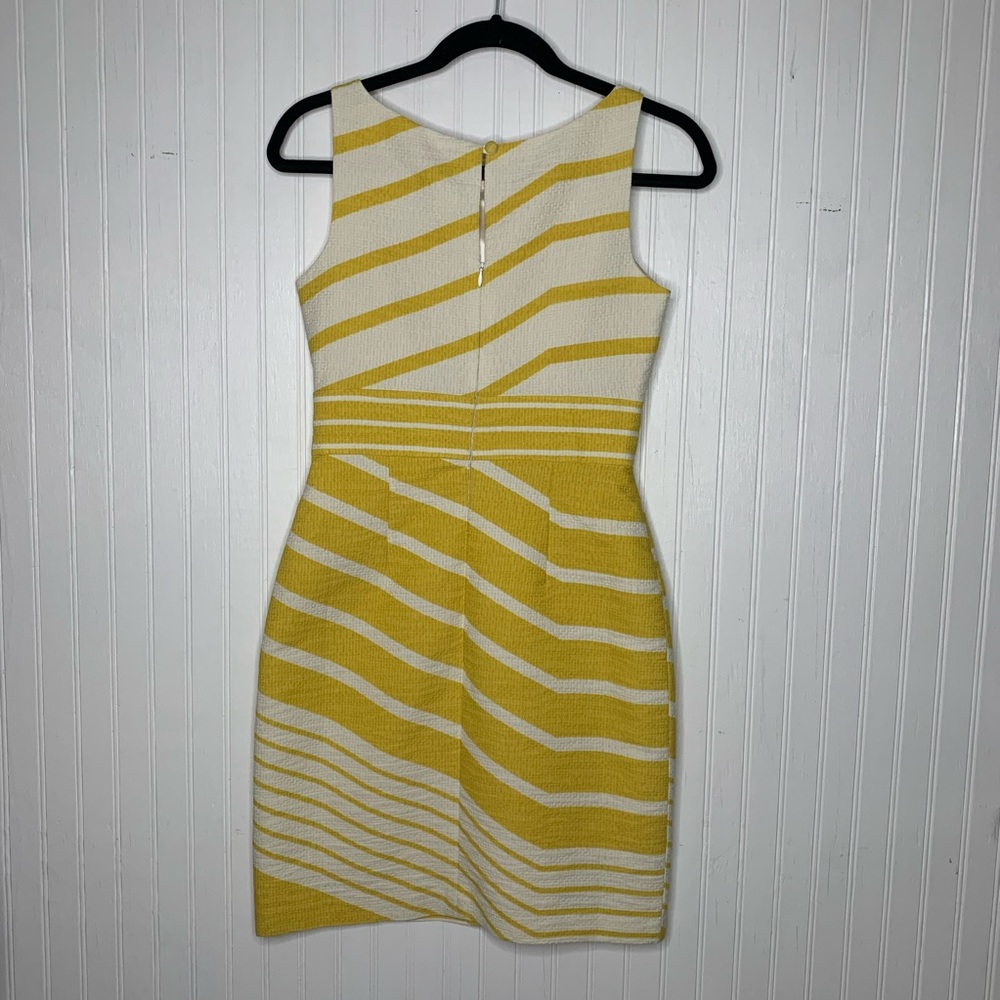 The Limited Dress - Picture 4 of 5